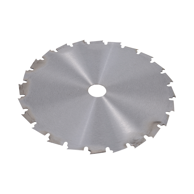 Disque de pointe 24t